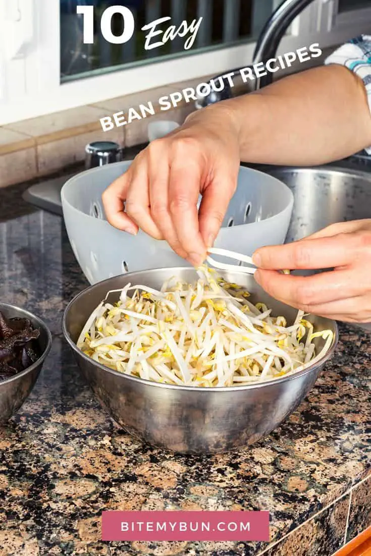 10 Scrumptious Ways to Cook Japanese Style Bean Sprouts
