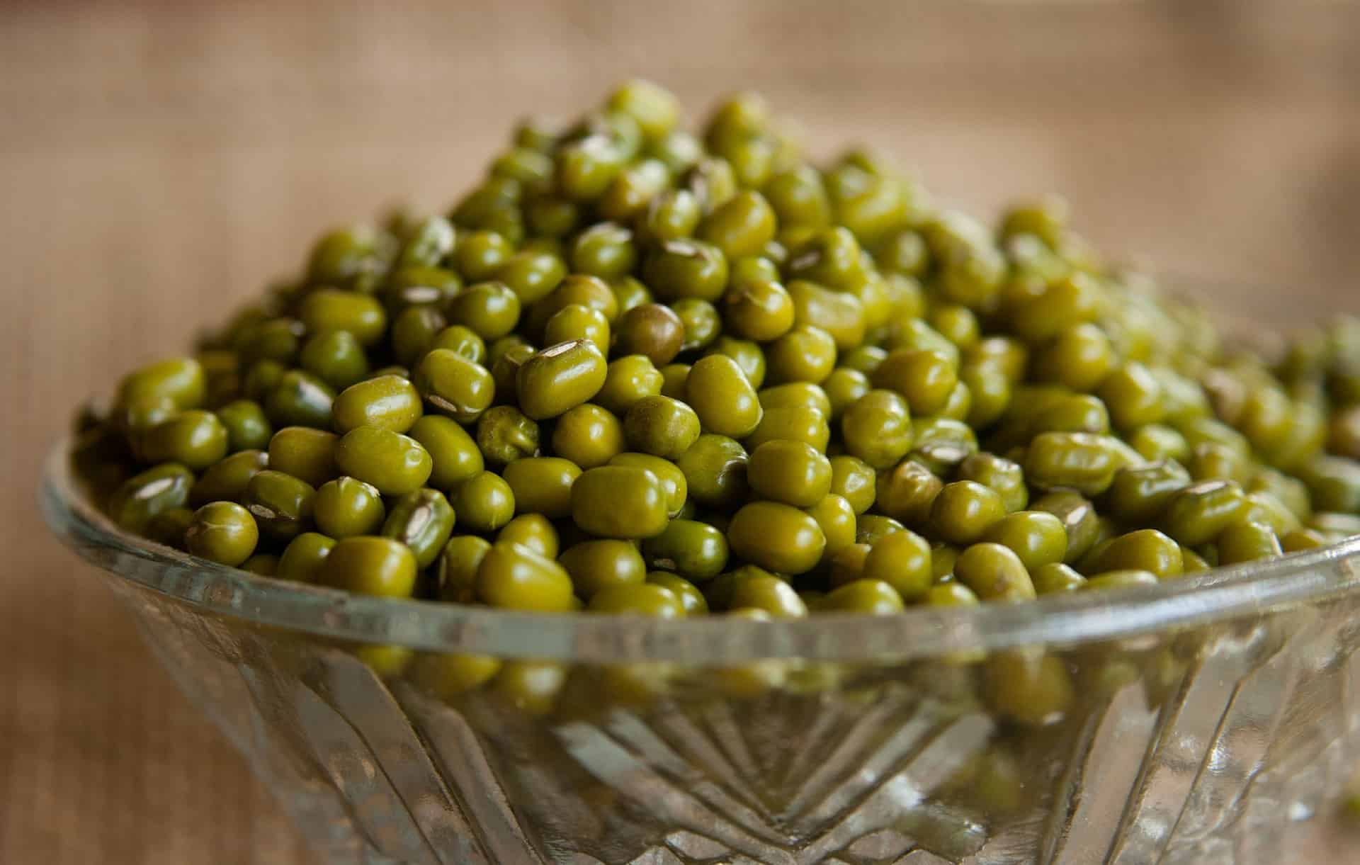 mung bean