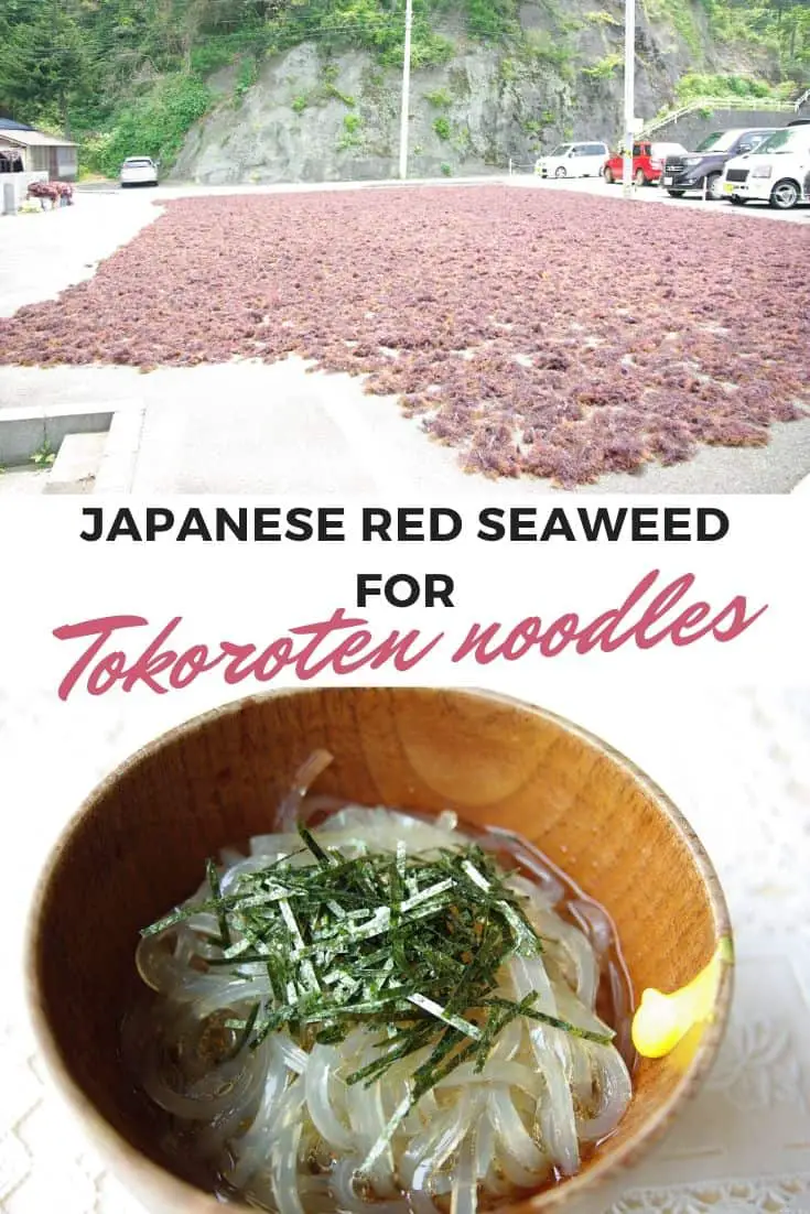Imagem com um campo de algas vermelhas e uma tigela de tokoroten