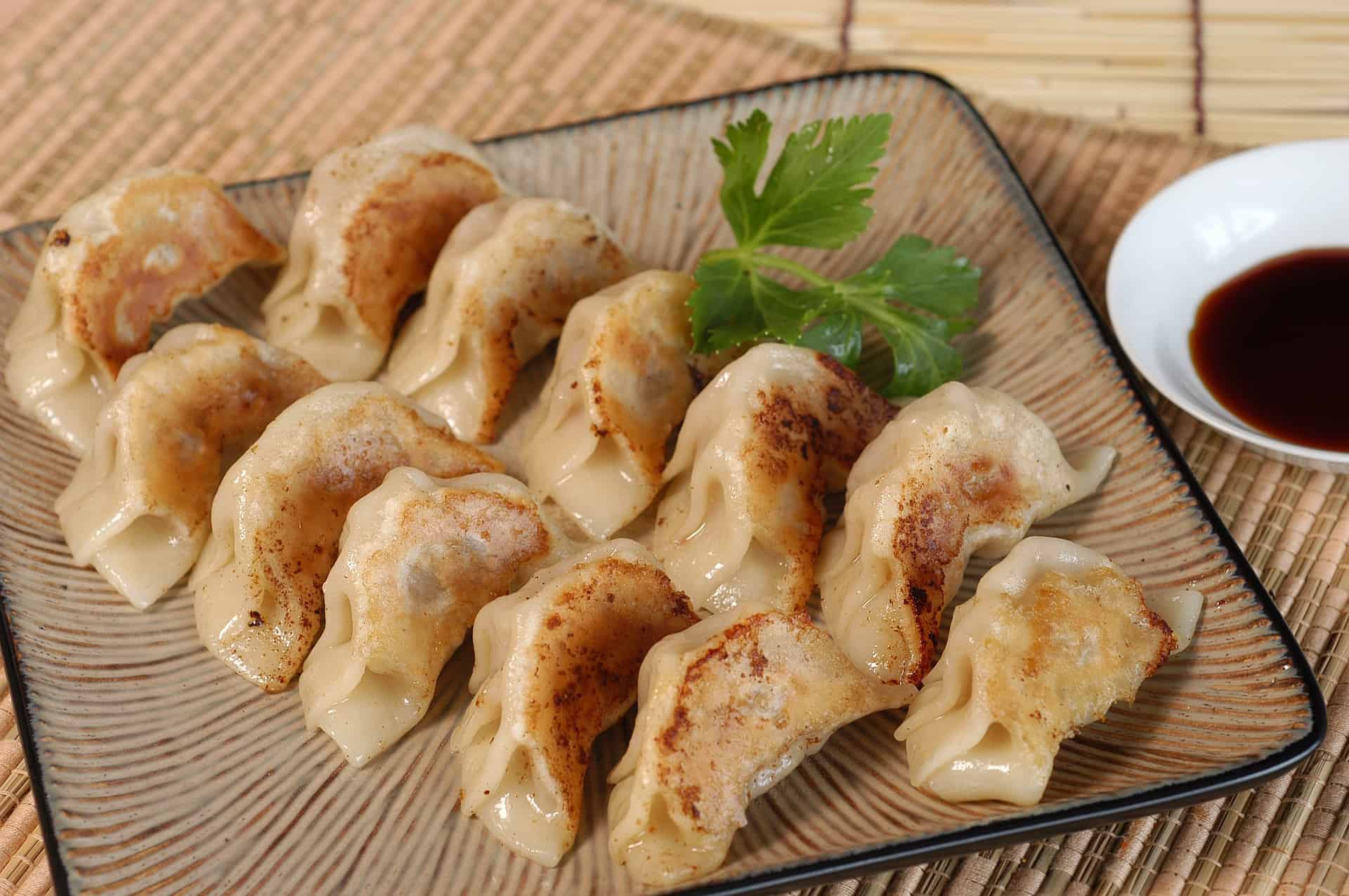 a plate of gyoza and its sauce