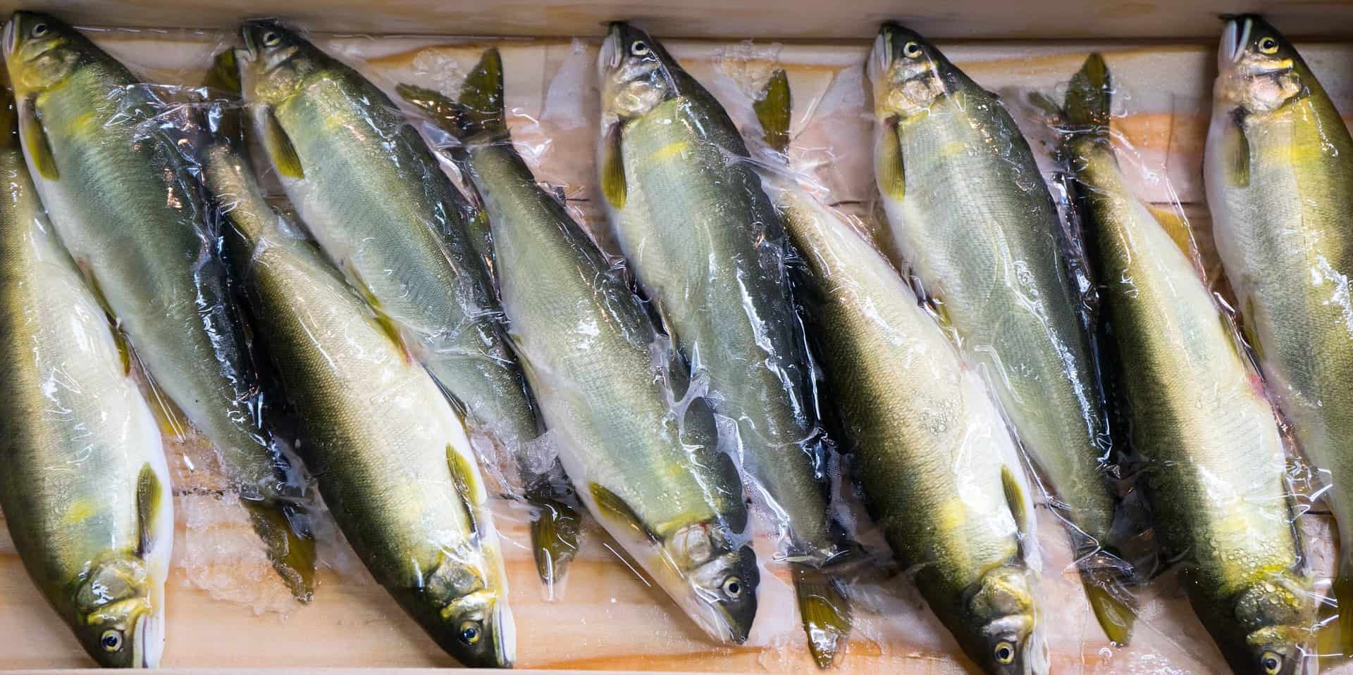 Peixe fresco em uma tábua de cortar