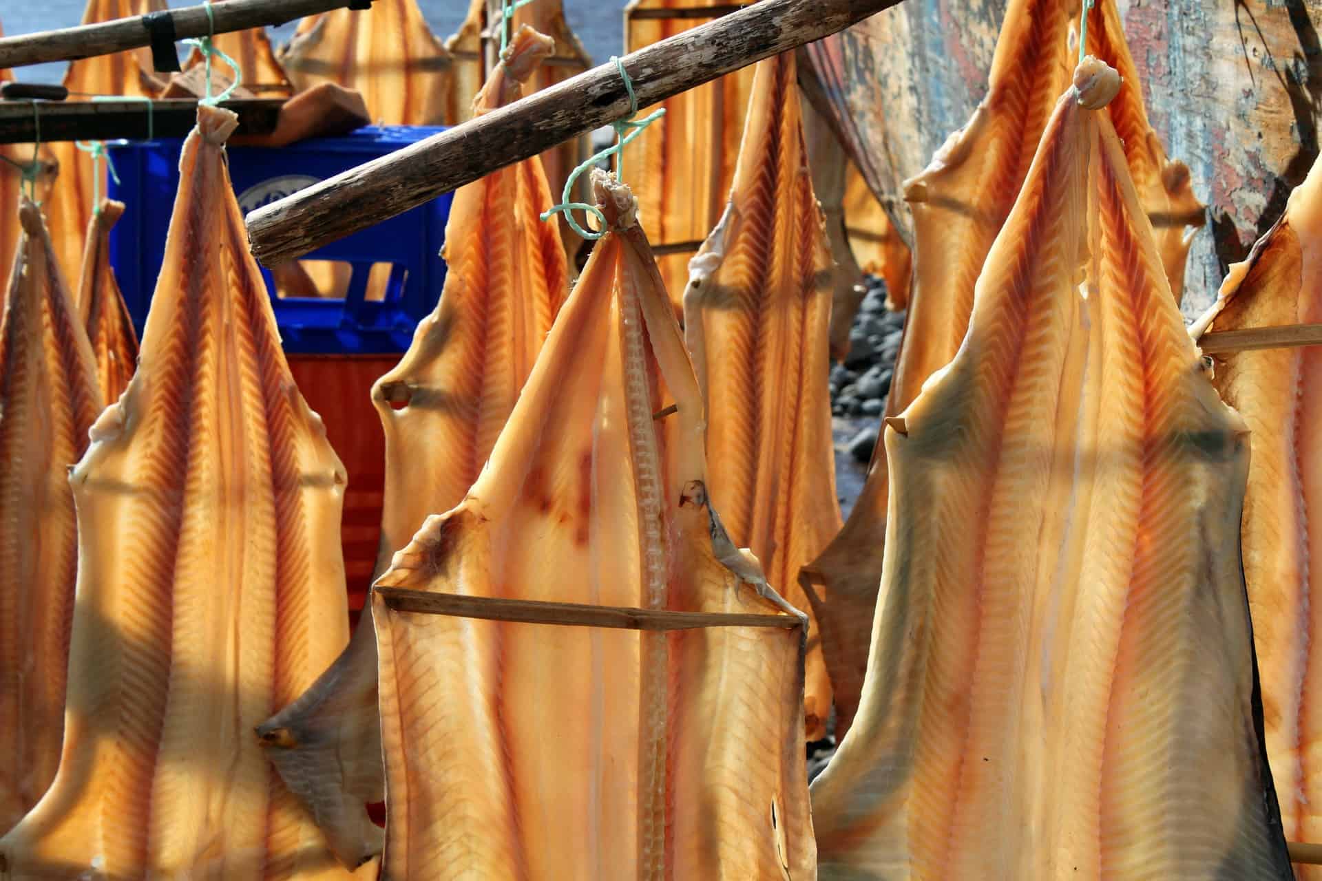 dried fish