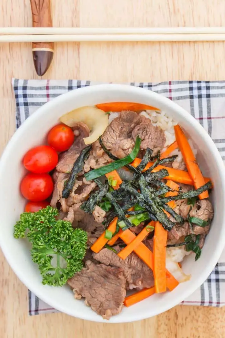 A bowl of Japanese Gyudon