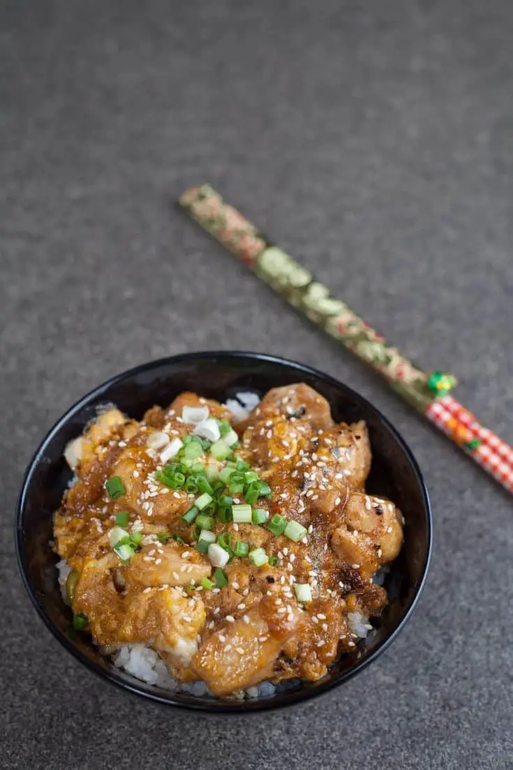 Comida japonesa oyakodon