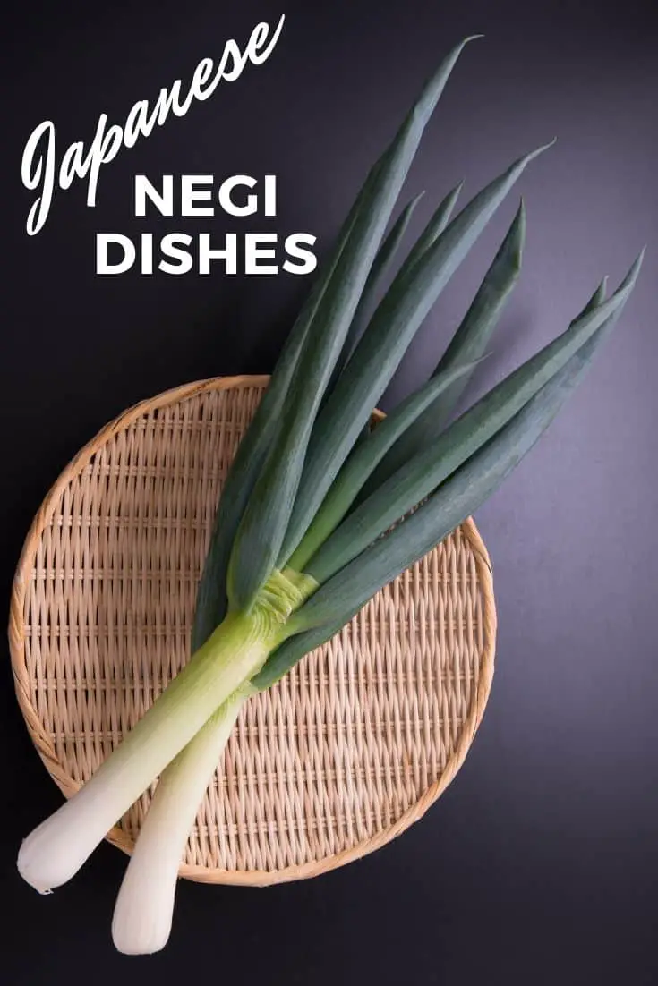 Plats d'oignons verts japonais Negi