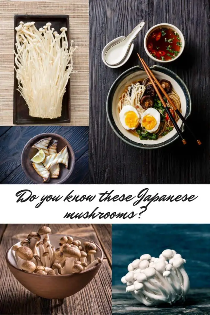 Ulike typer japansk sopp