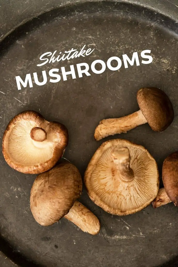 Japanese shiitake mushrooms