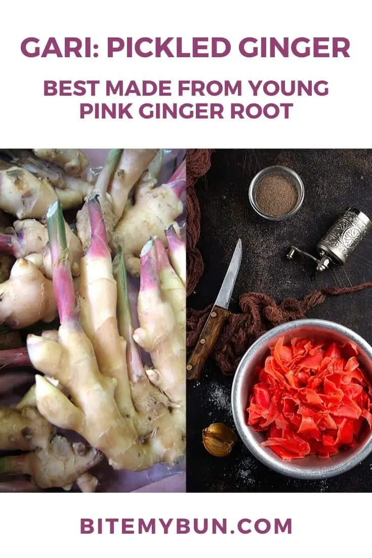 若いピンクのショウガの根から生姜のピクルスを作る