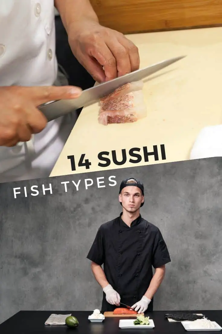 14 sushi fisketyper