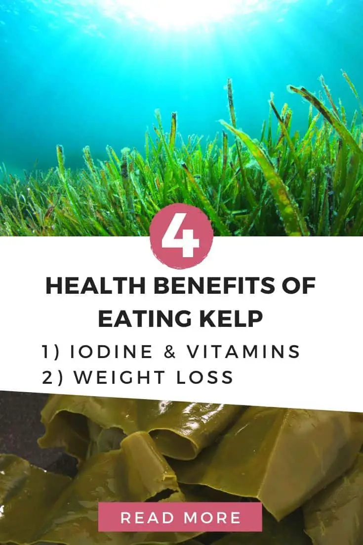 Health benefits of eating kelp (1)
