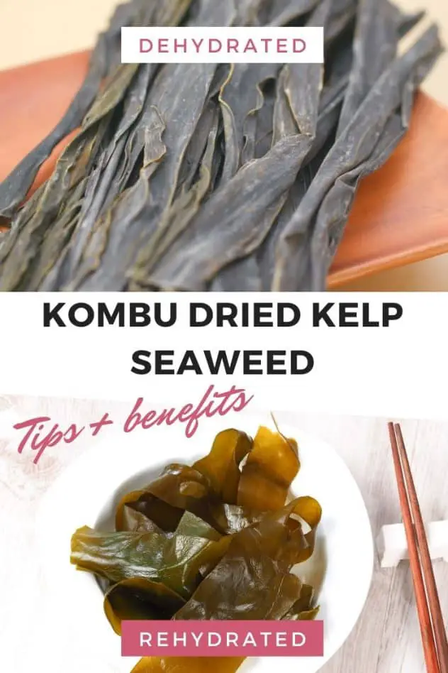 Are Kombu, Wakame, and Kelp the Same? Seaweed benefits