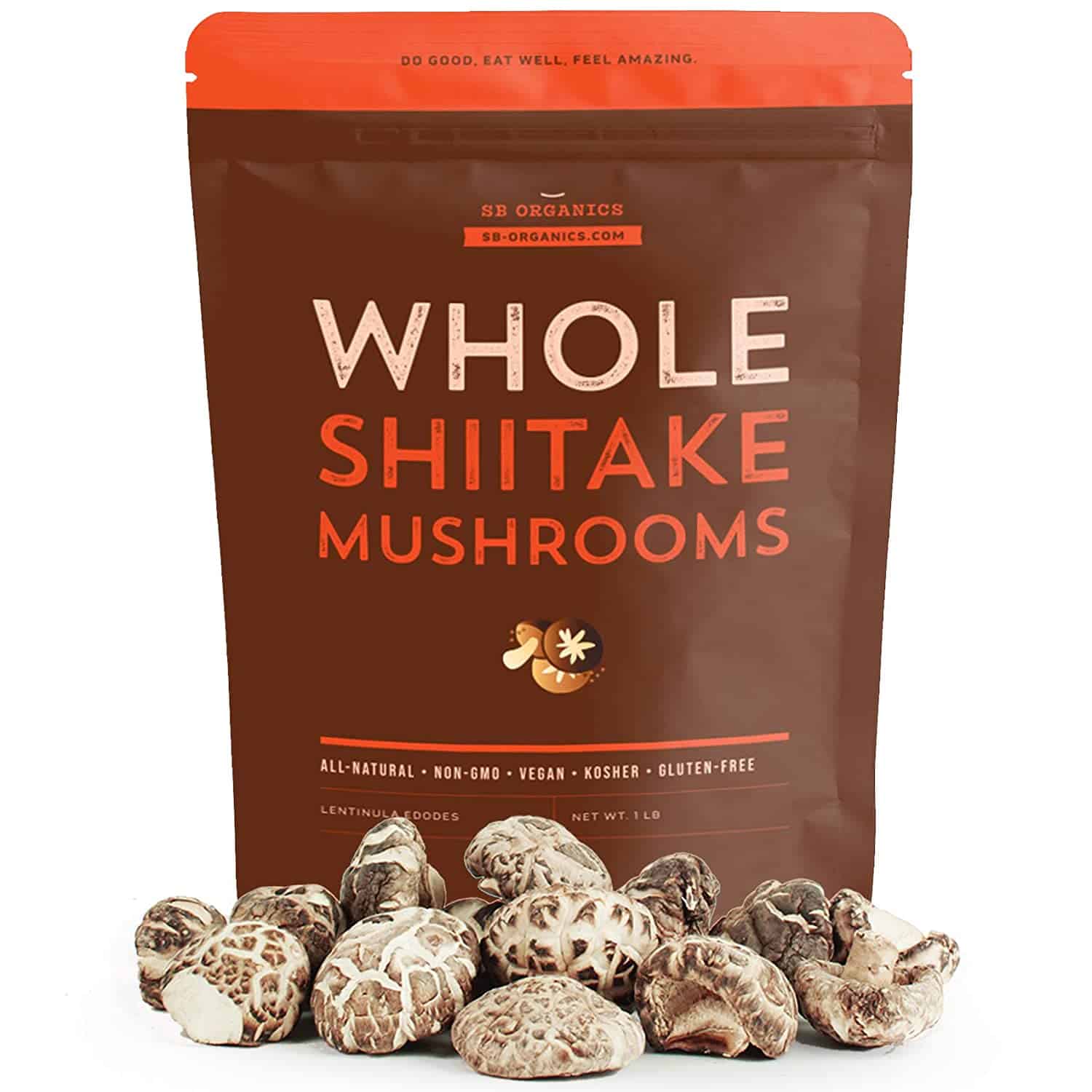 Cogumelos shiitake secos