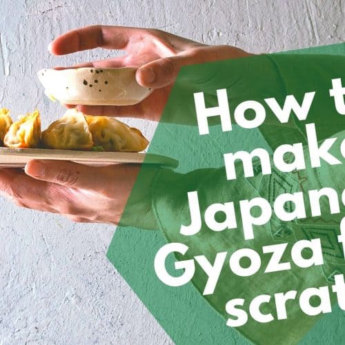 How to make Japanese Gyoza from scratch