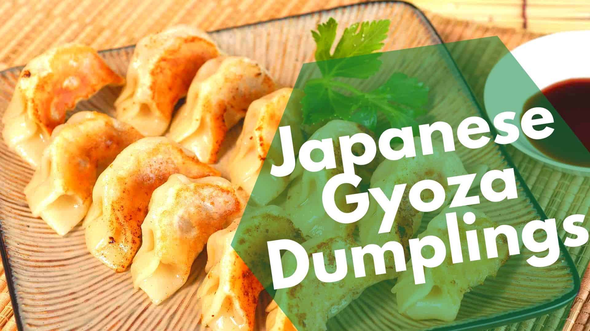 Dumplings Japanese Gyoza