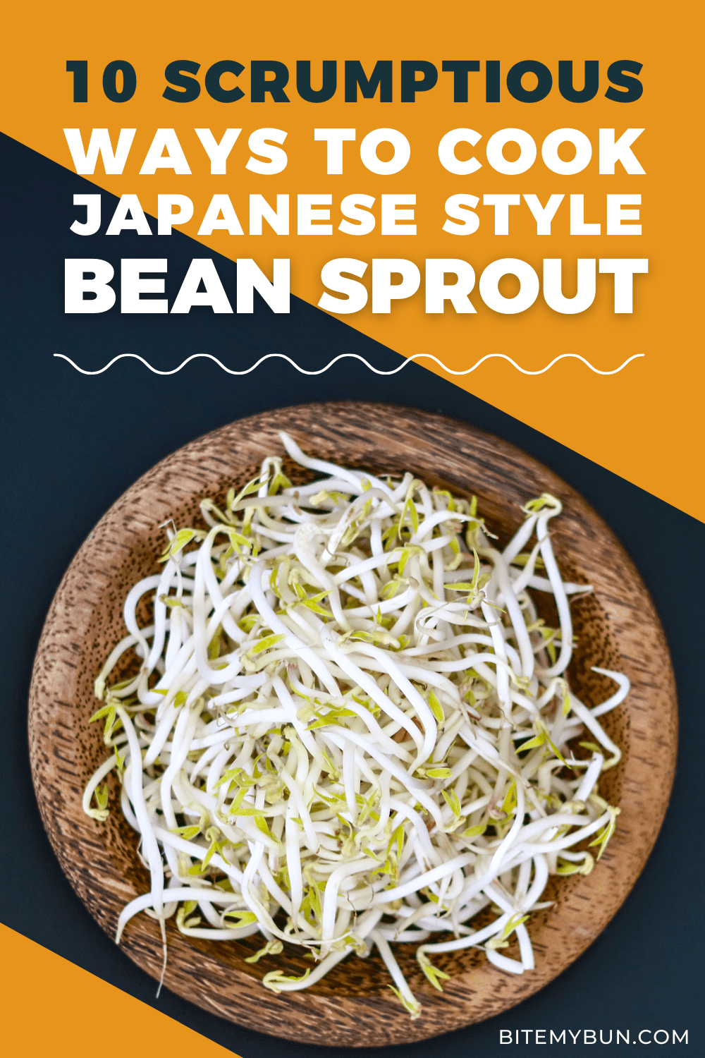 10 Scrumptious Ways to Cook Bean Sprout Japanese Style