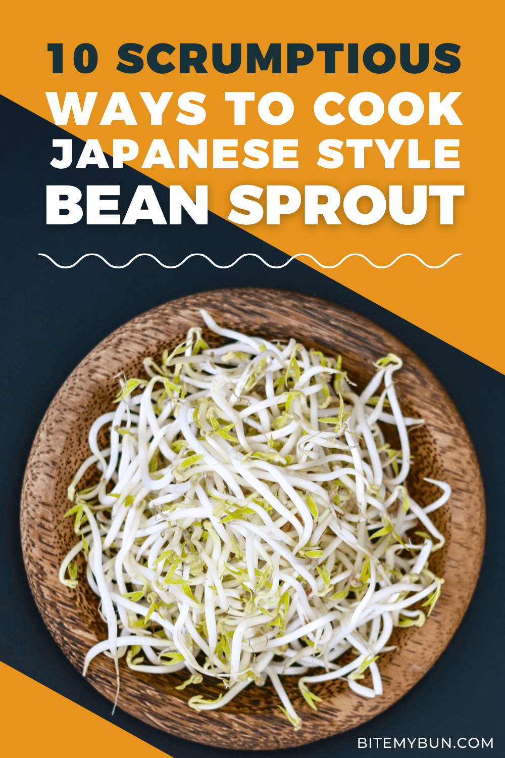 10 Scrumptious Manieri di Coccia Bean Sprout Style Japanese