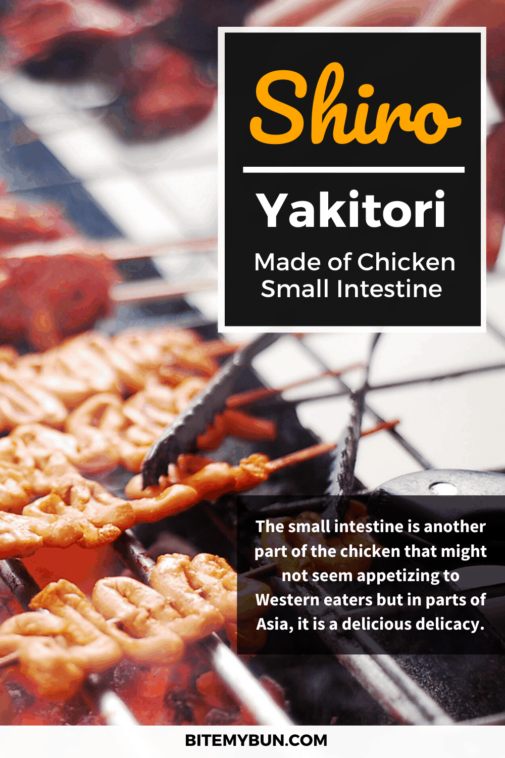 16 tipos diferentes de yakitori