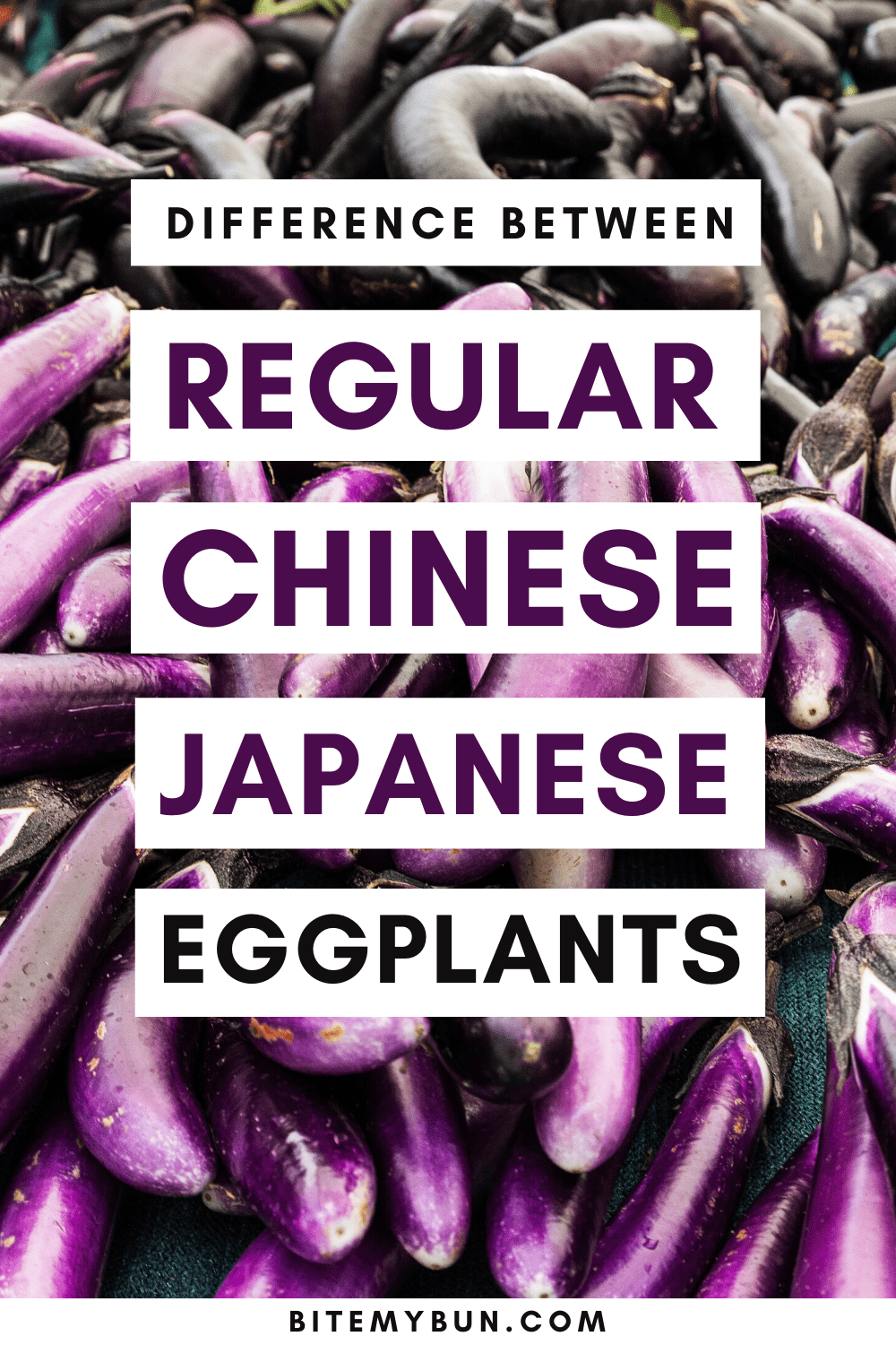 Différence entre les aubergines japonaises chinoises régulières