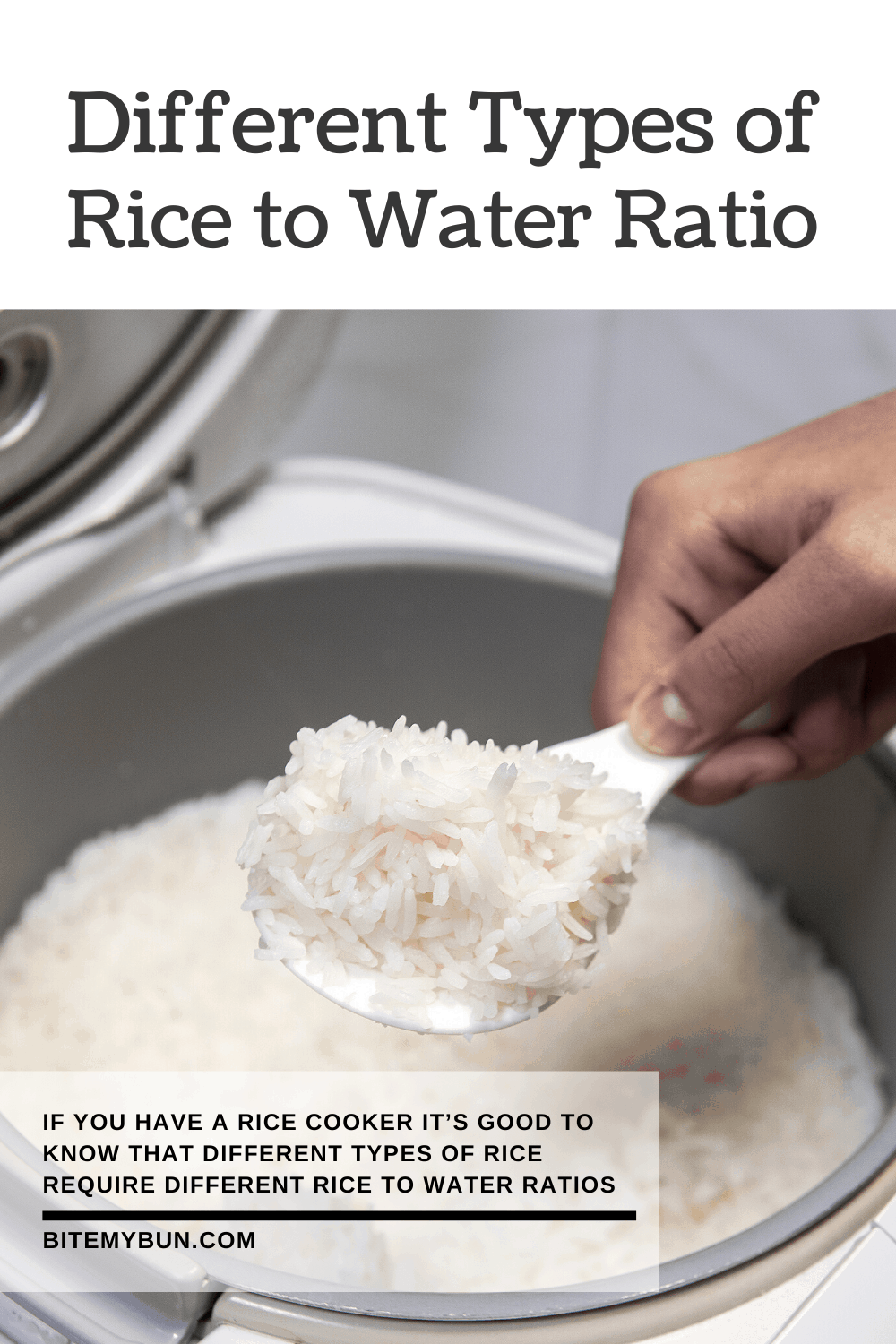 Diferentes tipos de arroz para proporção de água
