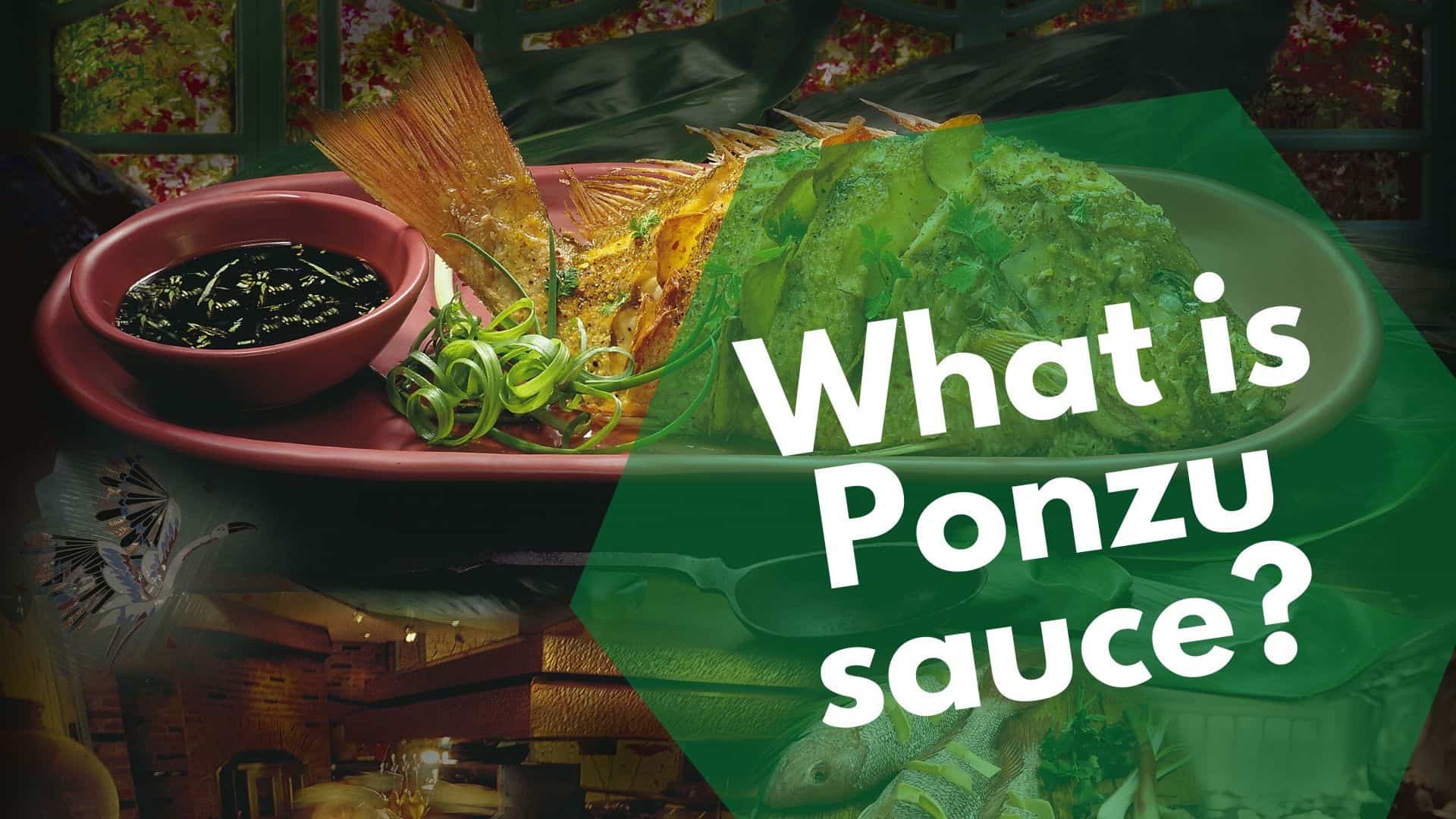 What is Ponzu sauce