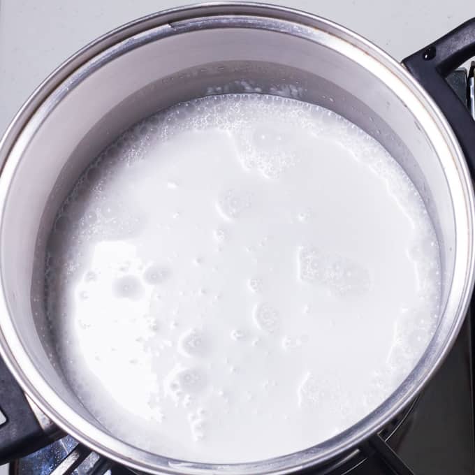 Coconut milk in cooking pot