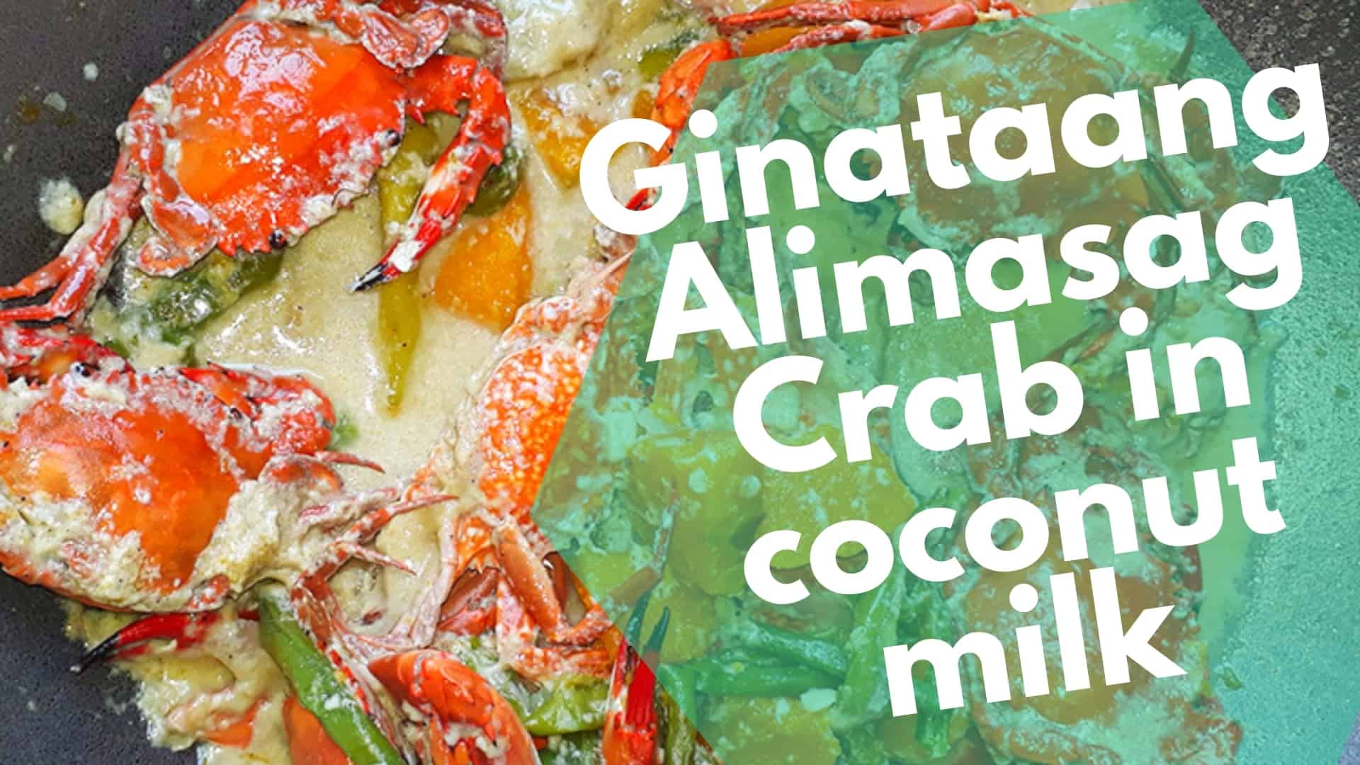Ginataang Alimasag Crab in coconut milk