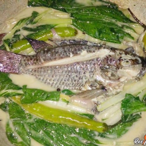 Ginataang 羅非魚食譜