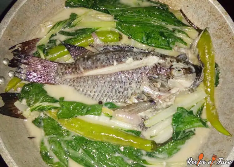 Receta de tilapia de Ginataang