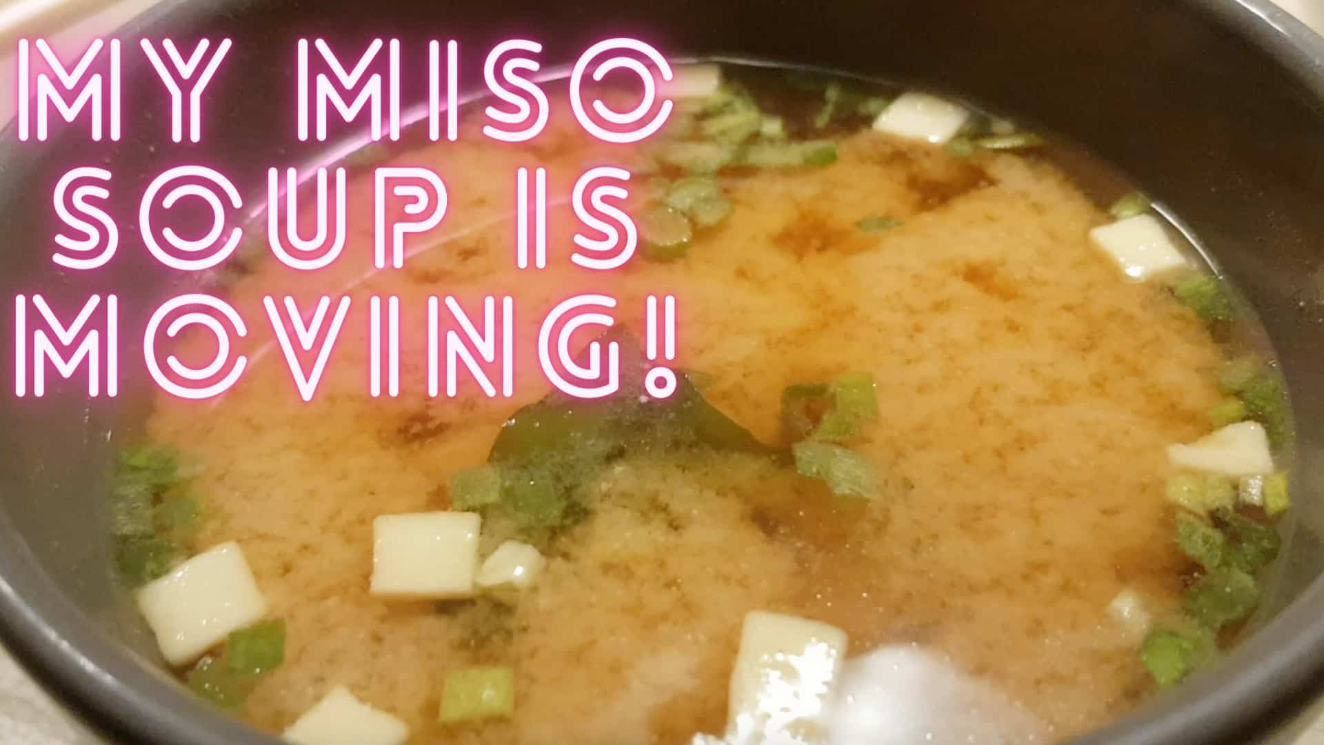 My miso soup is moving