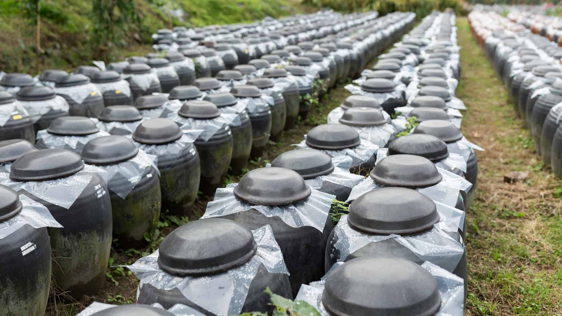 Fermentearjende rys op grutte Japanske fjilden