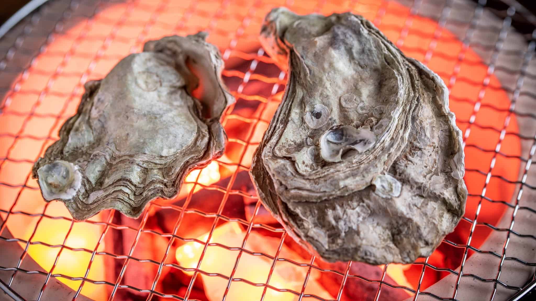 Oesters grillen op een ronde shichirin-grill