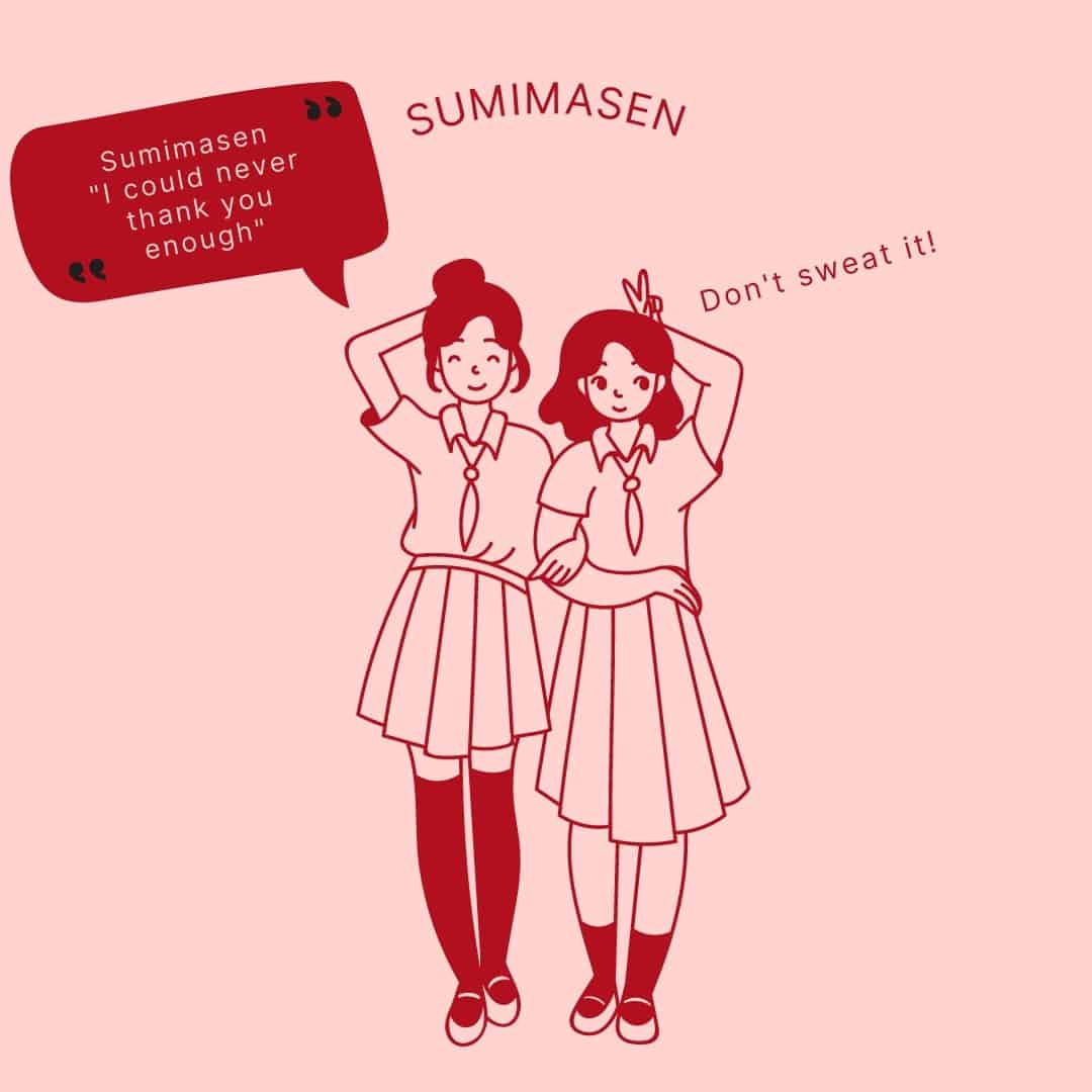 How to use sumimasen