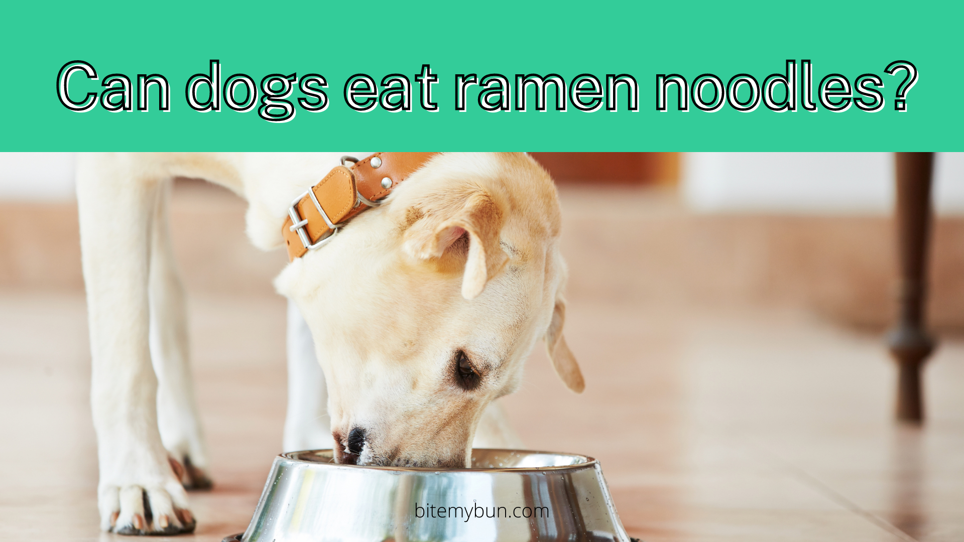 Can dogs eat ramen noodles? Yes, but skip the flavor packet!