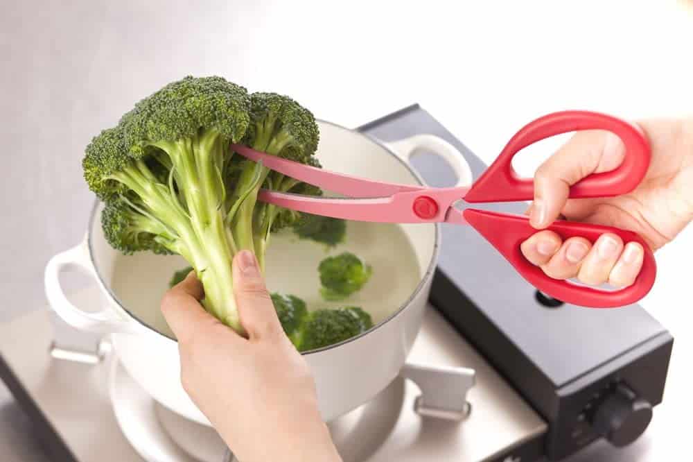 Ideale per il taglio decorativo e le migliori cesoie curve - KAI Cuisine per tagliare i broccoli