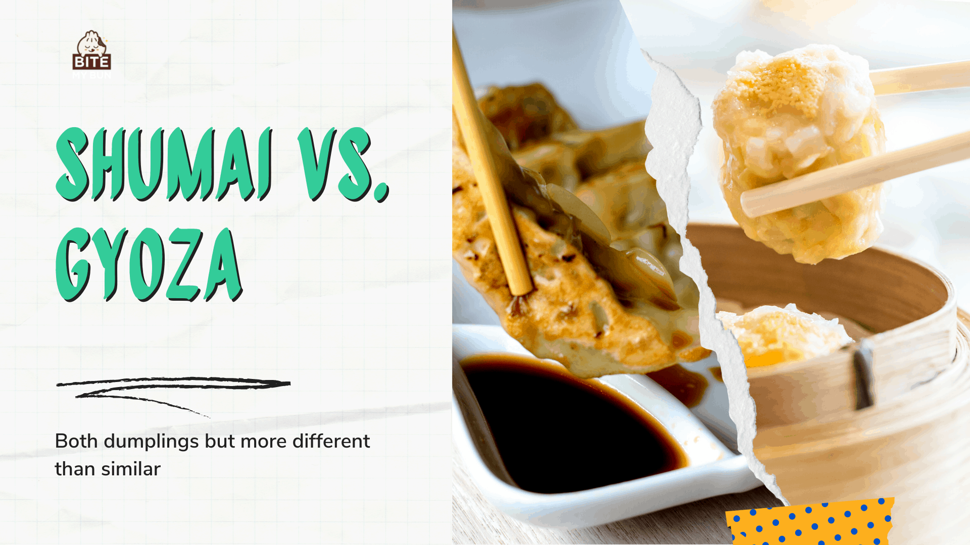 Shumai la gyoza | Mejeeji dumplings ṣugbọn diẹ sii yatọ si iru