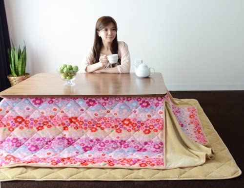 Best kotatsu futon set: Emoor Microfiber Comforter & Rug