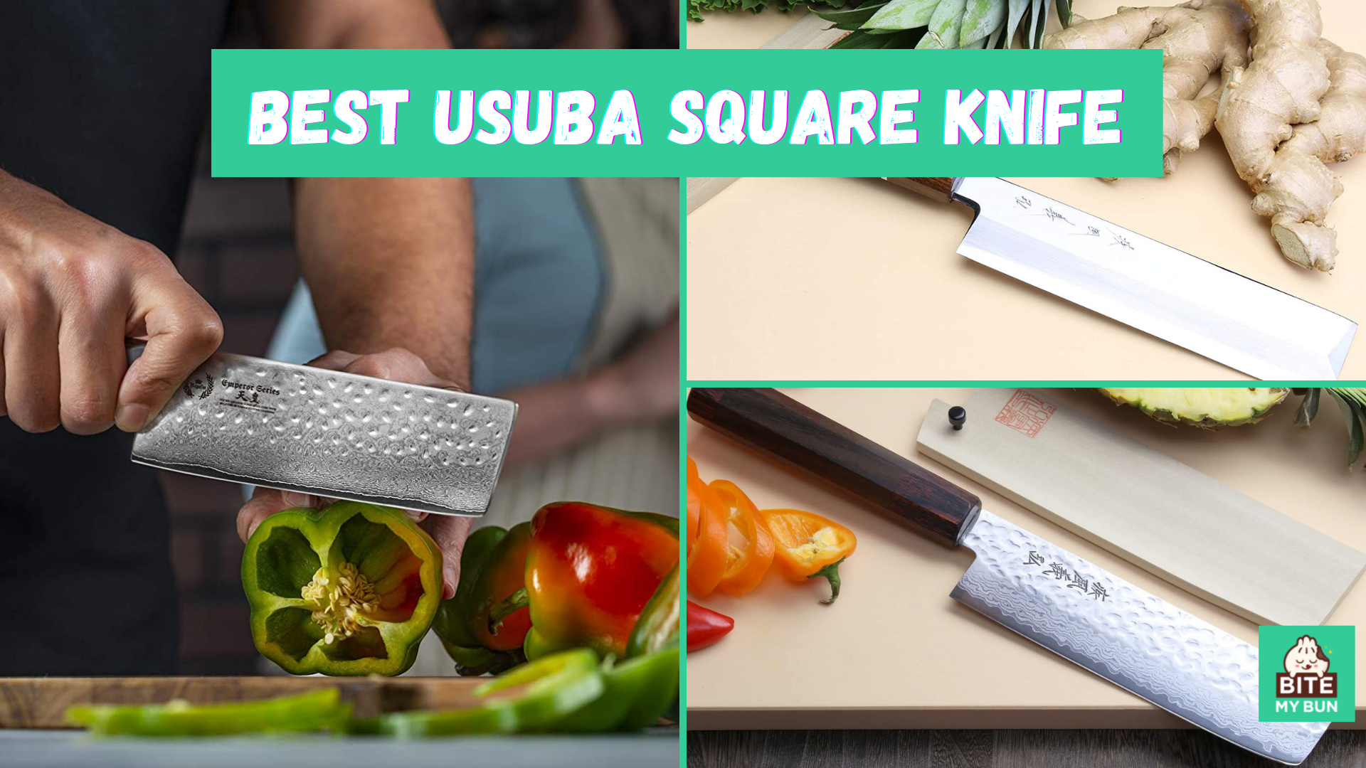 Mejor cuchillo cuadrado usuba | El último cuchillo japonés para verduras revisado