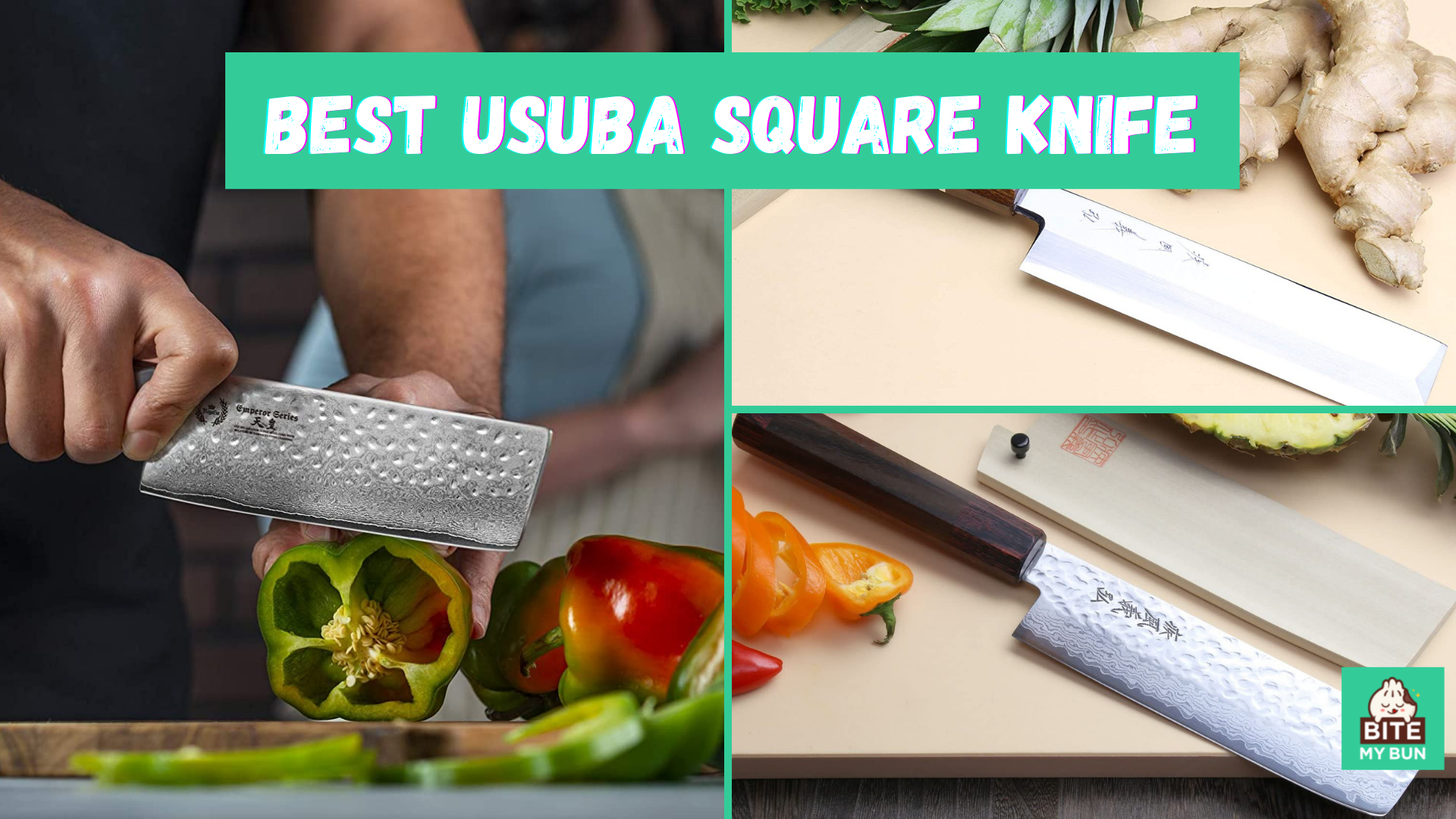 Best usuba quadratus cultri | Ultima Iaponica cultro vegetabili recensuit