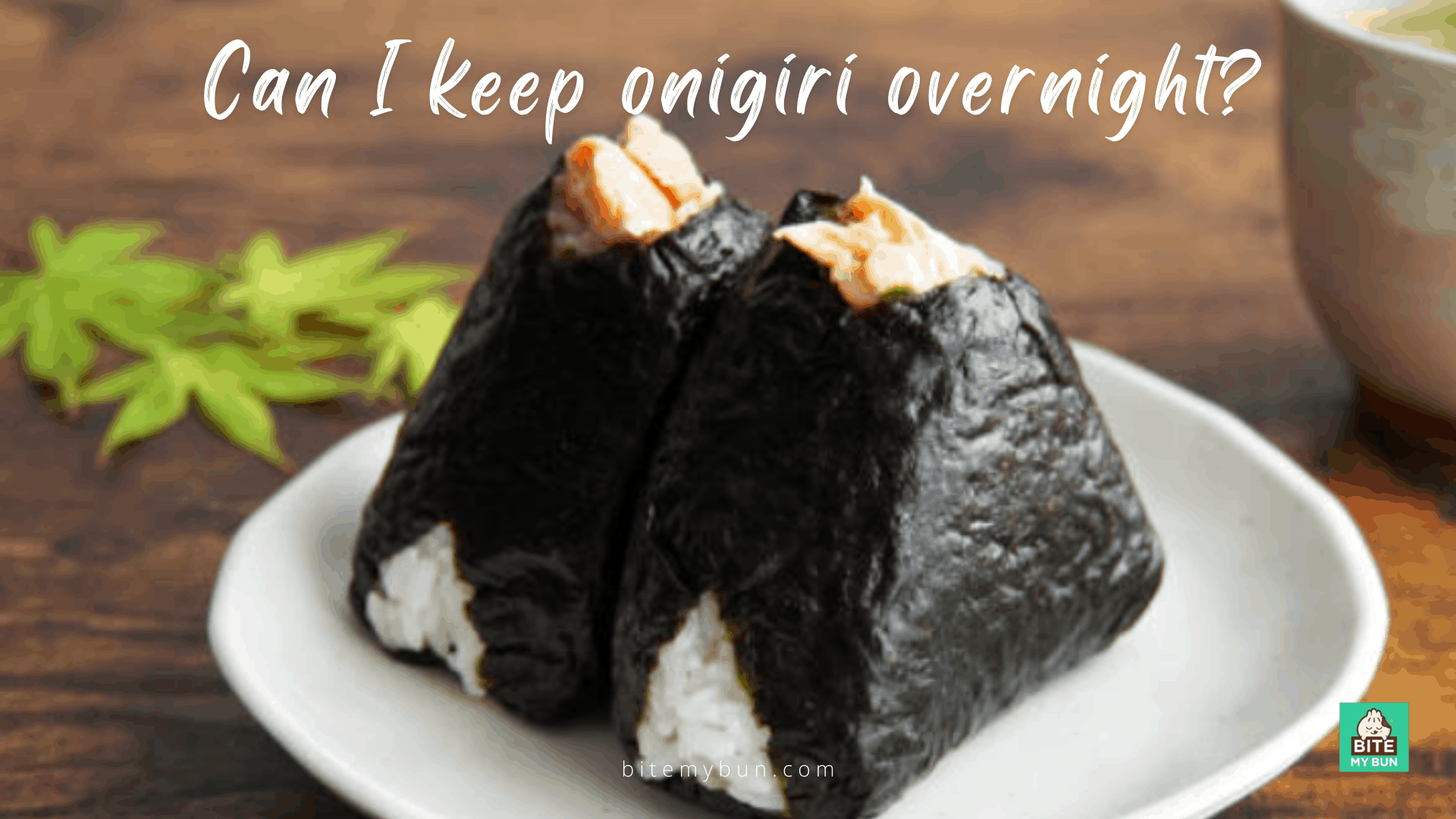 Kan ek onigiri oornag hou? Hoe om u rysballetjies te hou