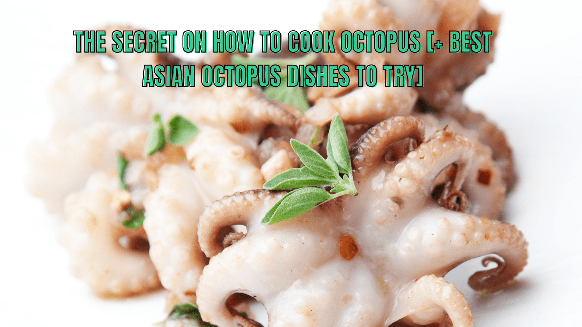 The secret on how to cook octopus [+ best Asian octopus dishes to try]
