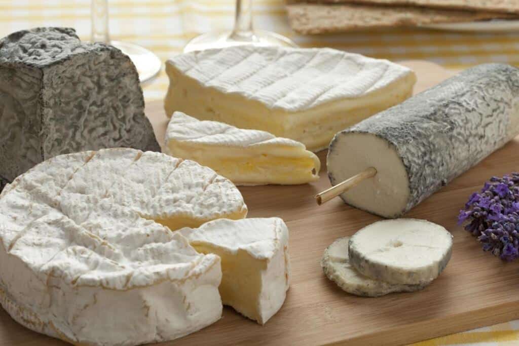 Taleggio-Cheese-1024x683