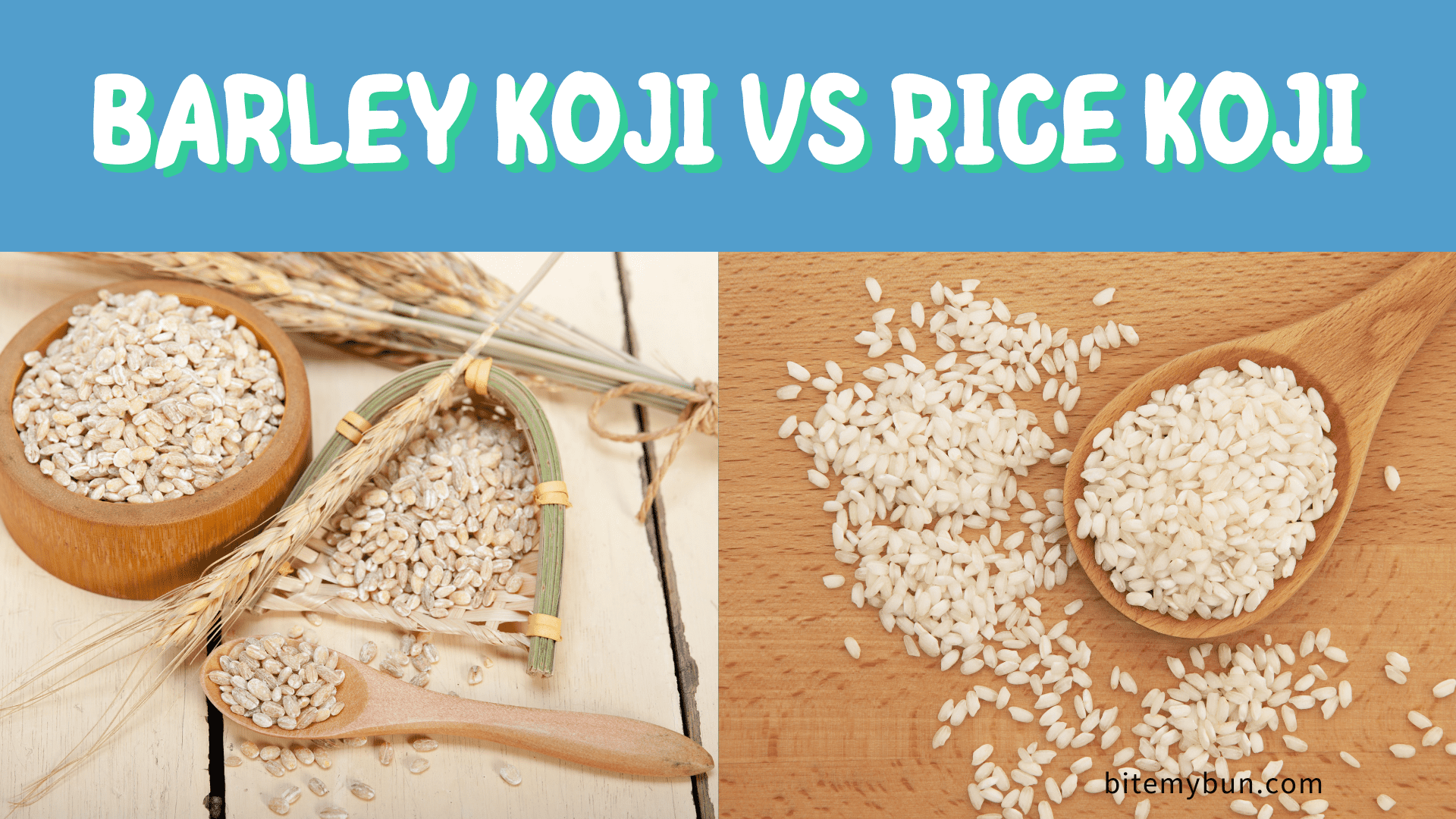 Koji de cevada vs koji de arroz | Como eles se comparam e quando usar o que