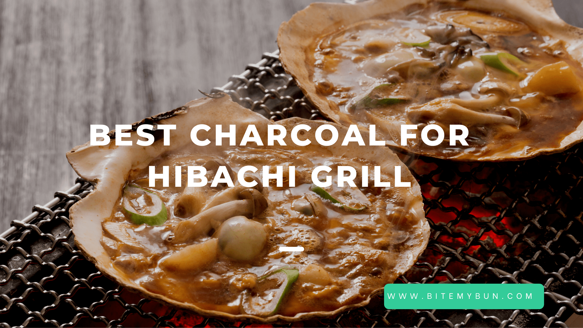 Meilleur charbon de bois pour grill hibachi | Contrôle et rétention de la chaleur top 4