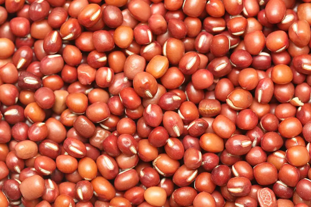 Adzuki beans and how to best replace them in a recipe