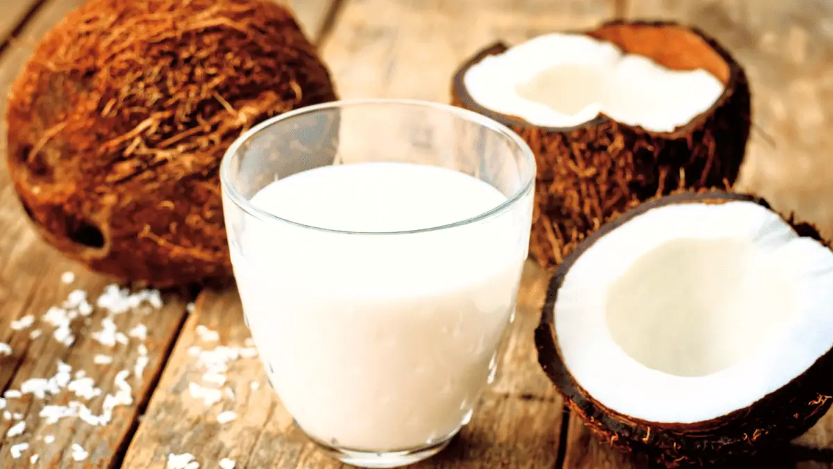 Nejlepší náhrada kokosového mléka | Top 10 alternativ pro každé jídlo