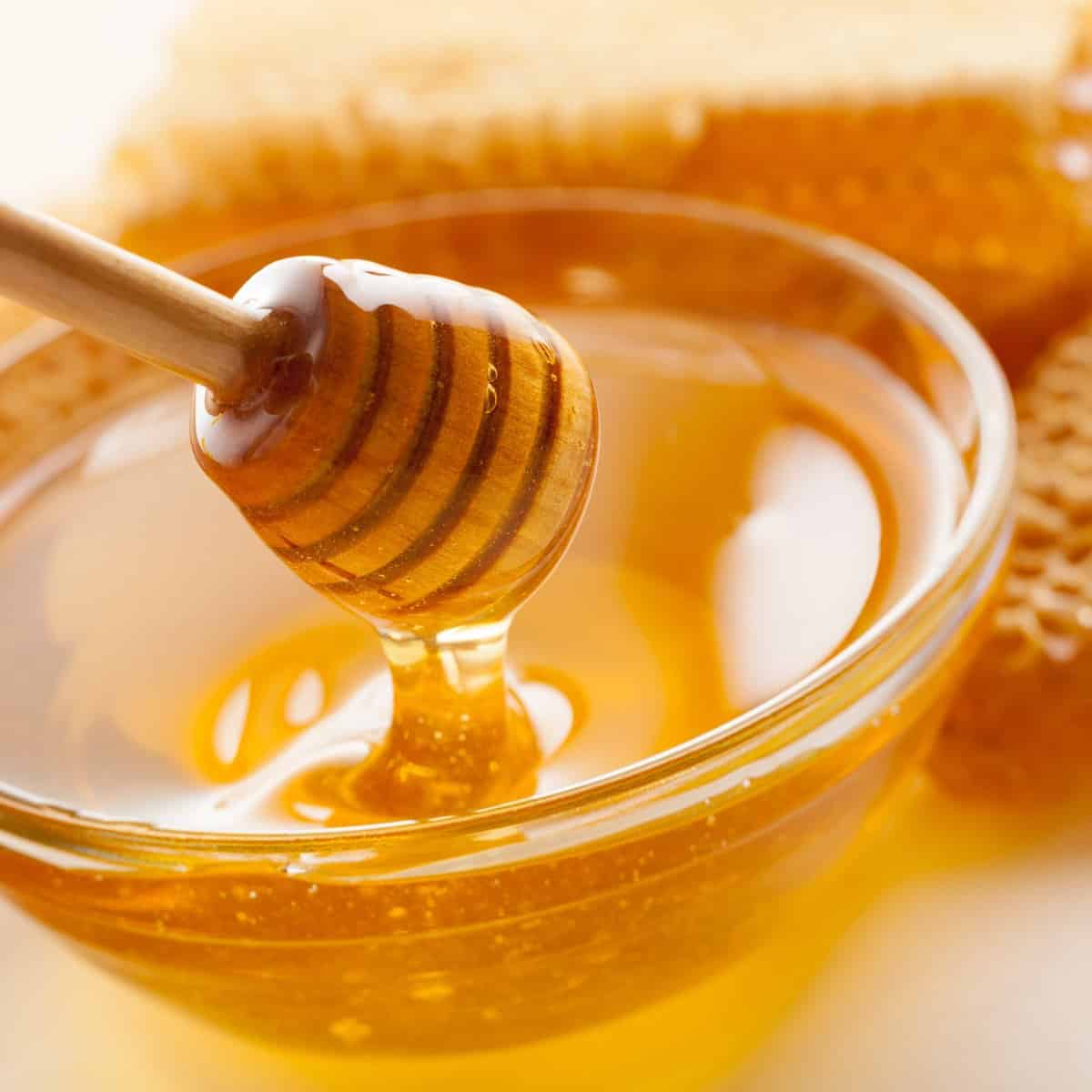 Hur man lagar mat med honung