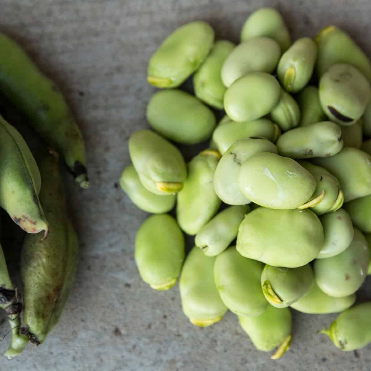 Cómo cocinar con habas