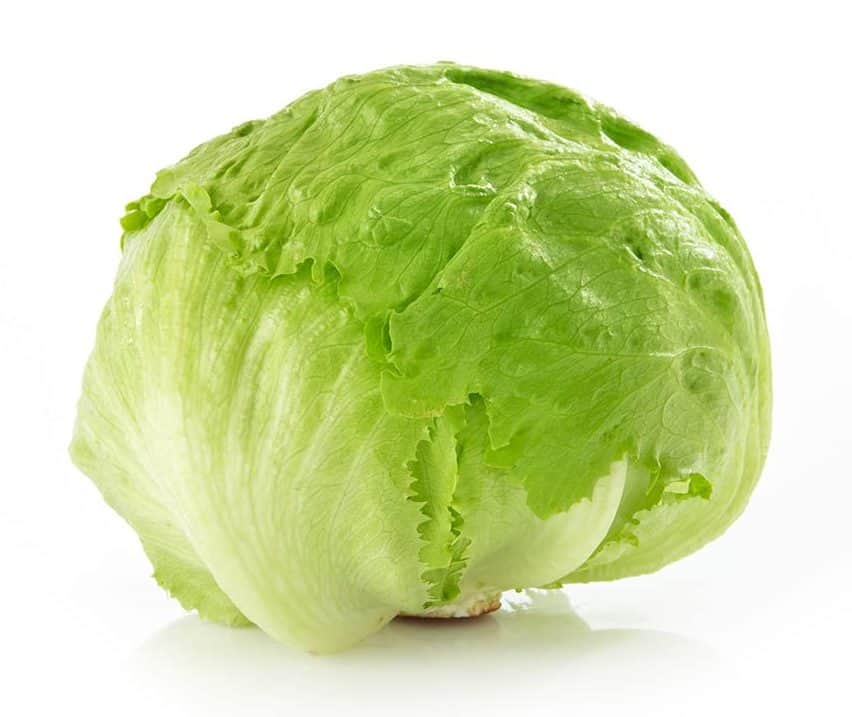 Bidh lettuis Iceberg a’ fàgail mar àite an àite còmhdach rolla ugh