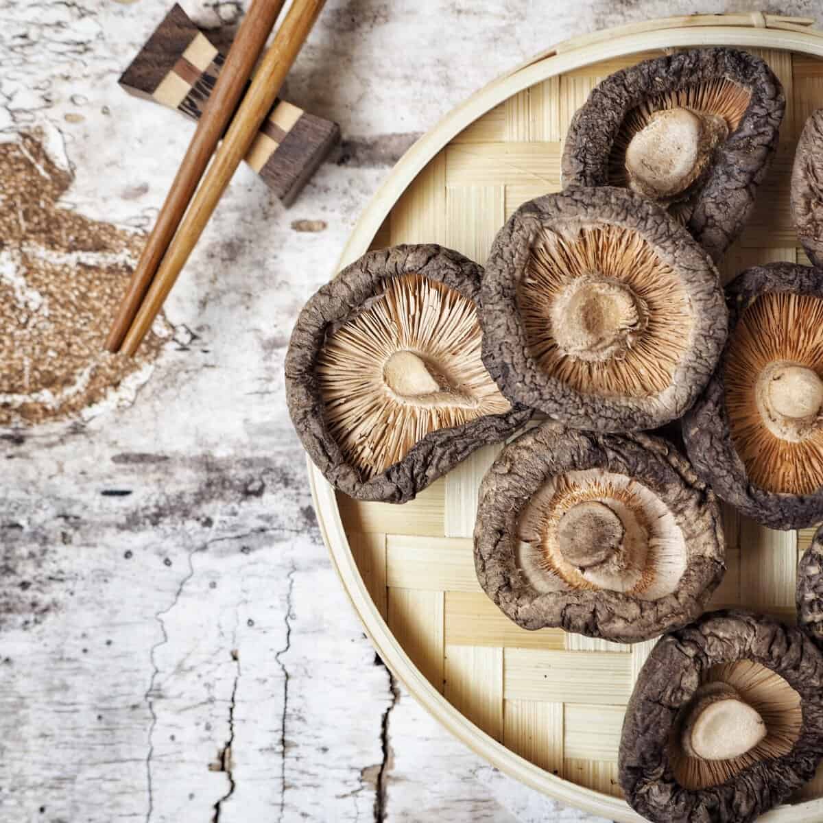 O que são cogumelos shiitake
