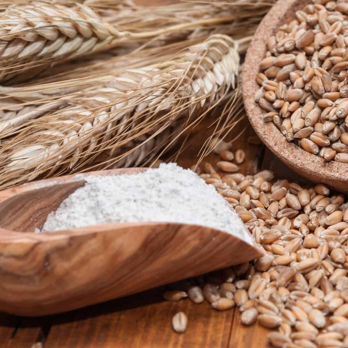 What is rye flour